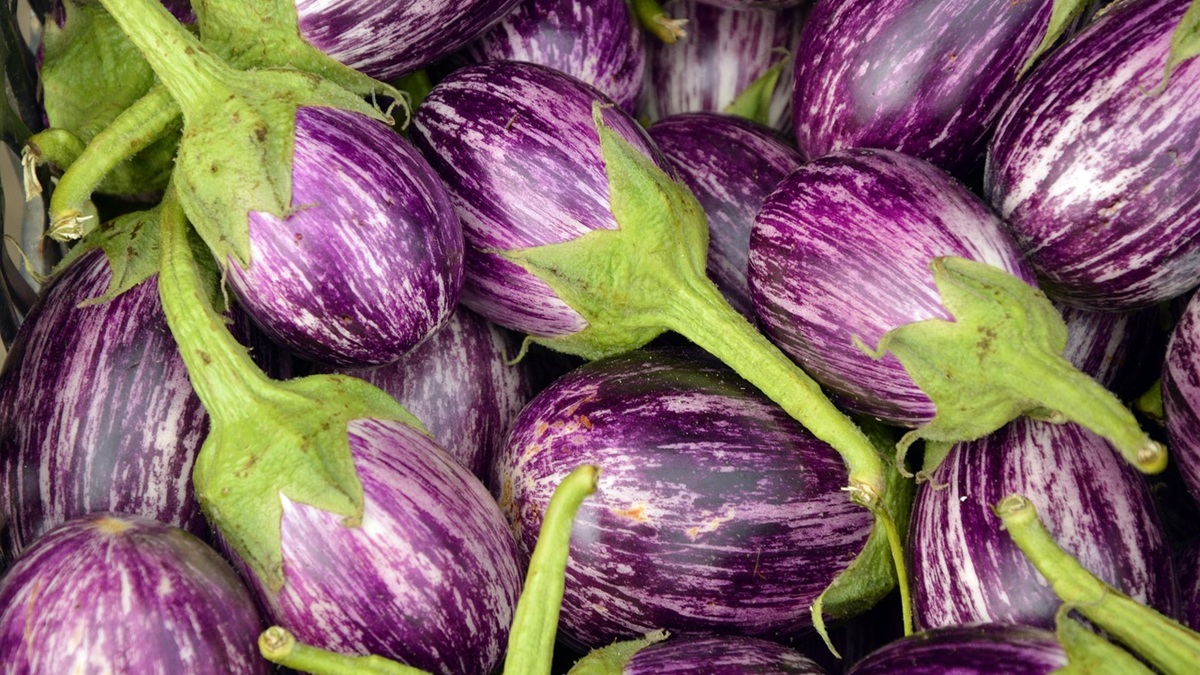 ¿Por qué es esencial el envasado de frutas y hortalizas frescas en la industria alimentaria.jpg